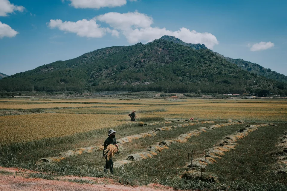 Kho gạo của Doãn Thị Thu Sương